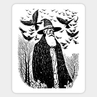 A Hermit Wizard Magnet